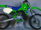 Kawasaki KX 500